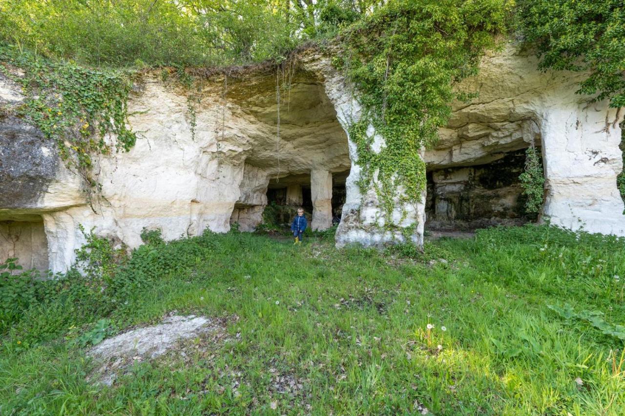 Logis De Bois Roche * Saint-Bonnet-sur-Gironde